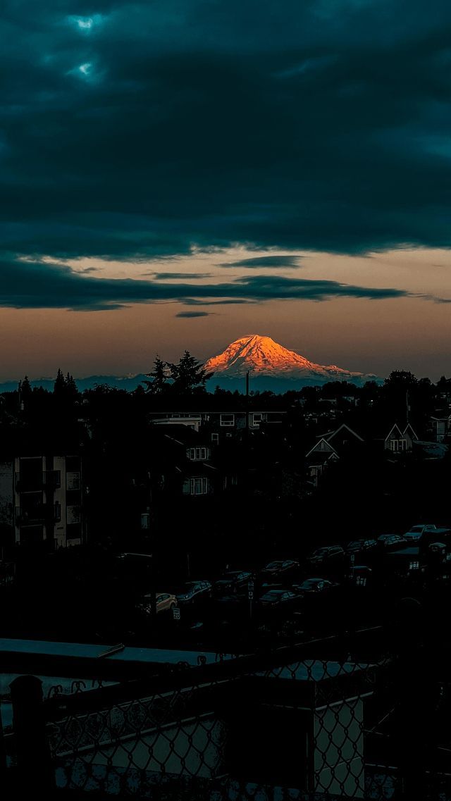 Phone Wallpapers (@phonewailpapers) on Twitter photo 