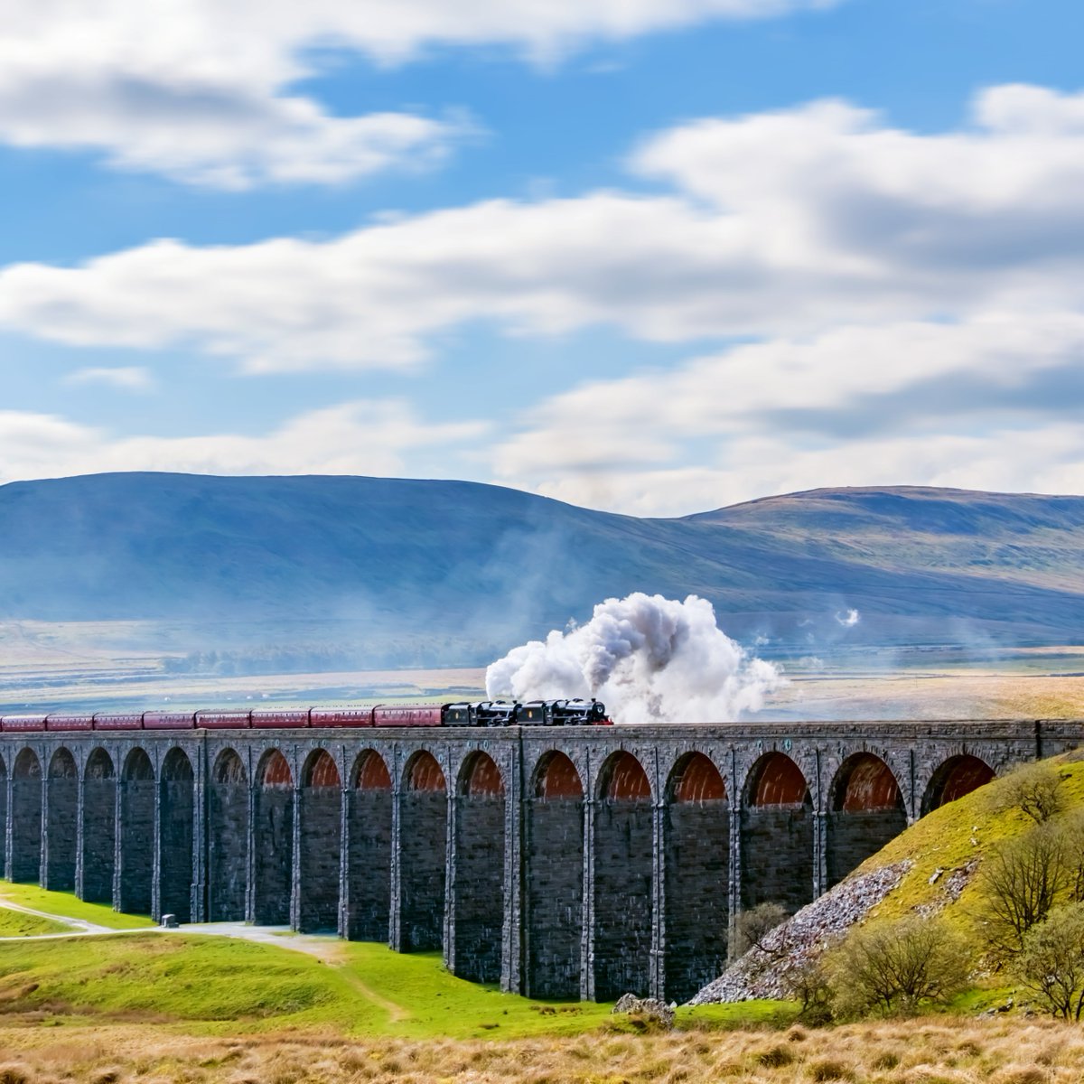 North Yorkshire Council tweet media