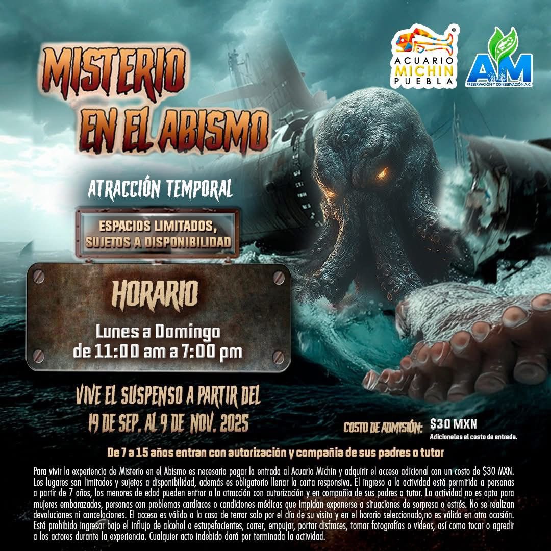 El misterio continúa en las profundidades 🌊🦑

Gracias a ustedes, hemos ampliado el horario de nuestra nueva atracción Misterio en el Abismo. 😶‍🌫️

⏰ Ahora podrán disfrutarla todos los días de 11:00 a.m. a 7:00 p.m.
¡Más tiempo para vivir el suspenso bajo el agua!