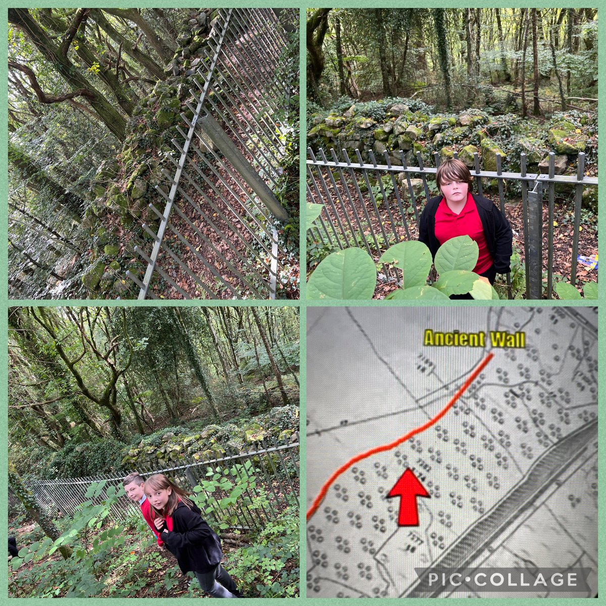 mrsccox95's tweet image. After comparing old and new maps last week we decided to find the ancient wall which is just outside our boundary fence. We oriented the maps to work out where we were. The curve of the wall was a great landmark. Da Iawn Dosbarth 10 @garntegprimary #humanities #outdoorlearning