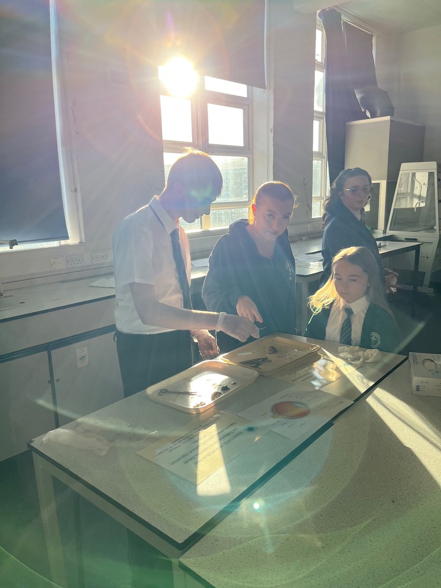 St Gabriel’s Science tweet media