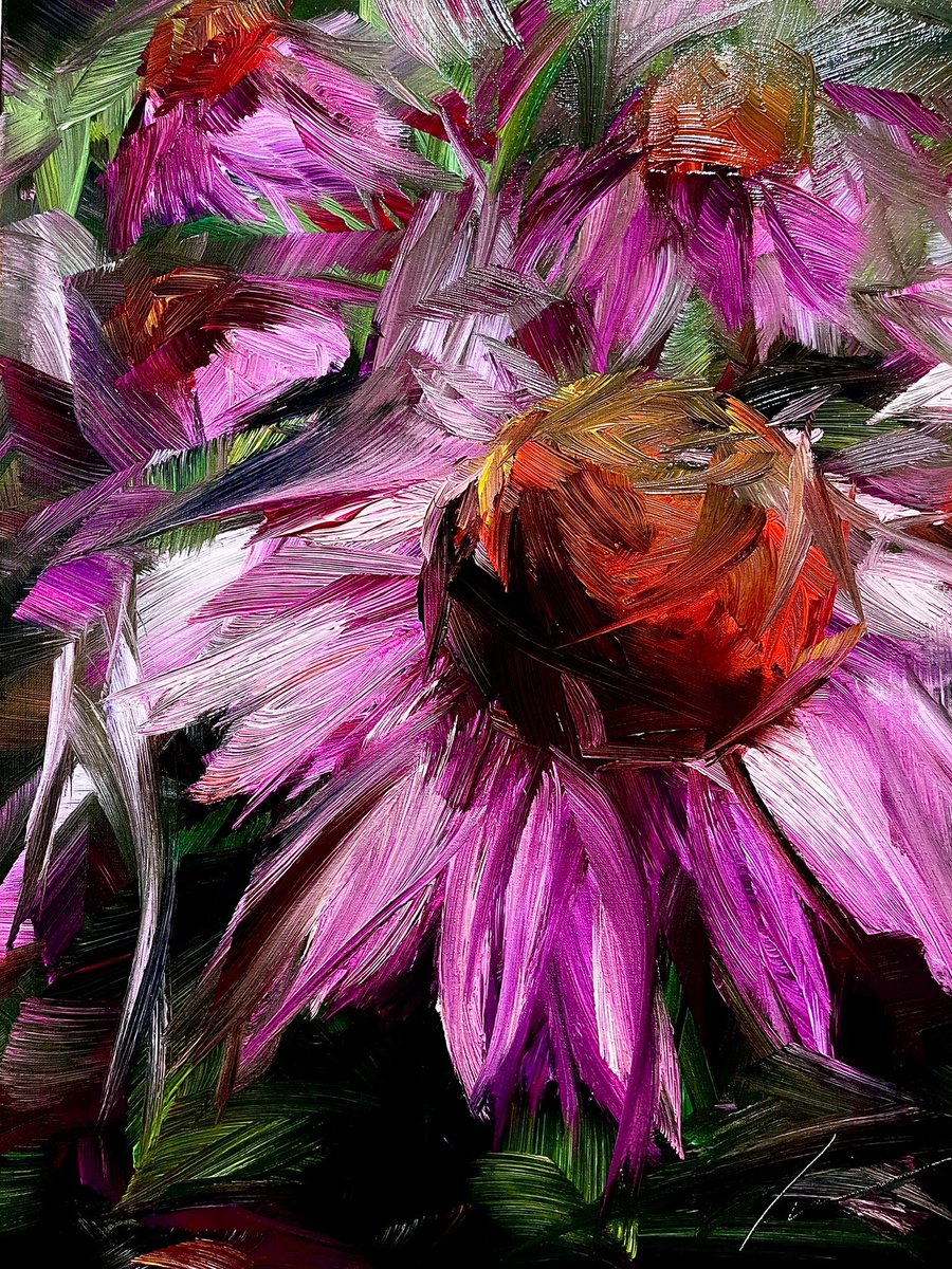 My echinacea painting