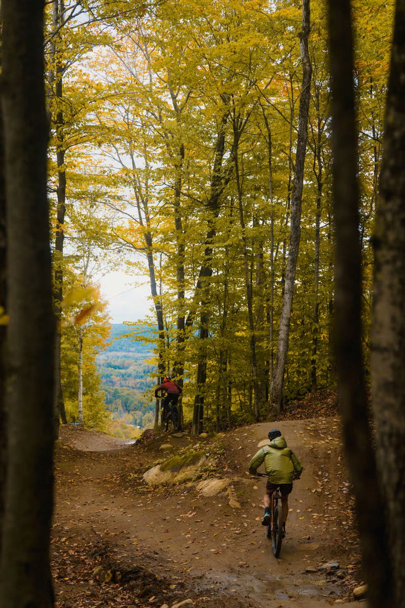 [ COMMUNIQUÉ ]
5,1 M$ pour soutenir la réalisation de 56 projets touristiques régionaux dans la région de l’#Outaouais
👉 bit.ly/46nJNx9

#EPRTNT #région #croissance

📷 Jean-Simon Bégin
📷 Matt Chick