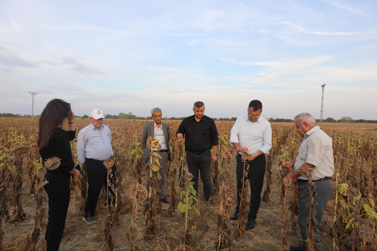 bdalgin's tweet image. Bugün Hayrabolu’da sayın belediye başkanımızla, kuraklıktan muzdarip ayçiçeği çiftçimizle ve gayretle çalışan iş insanlarımızla bir araya geldik

Milletimizin gerçek meselelerini konuştuk