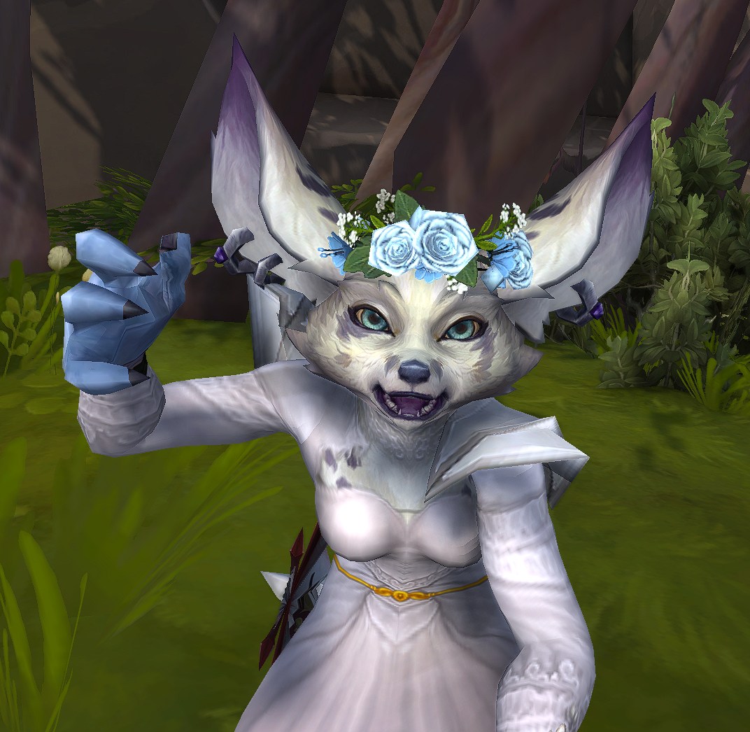 the bride is dissatisfied.