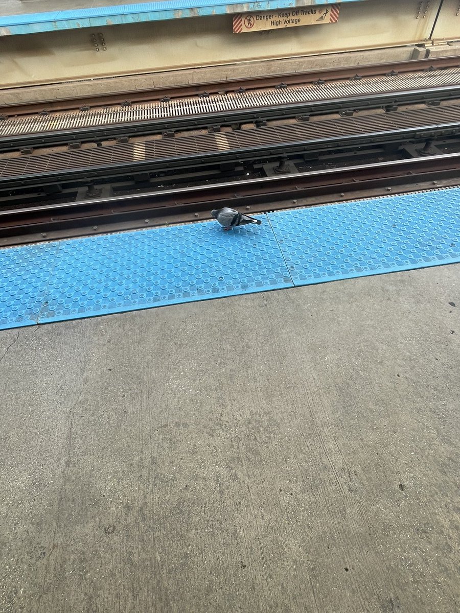 Bean Juice tweet media