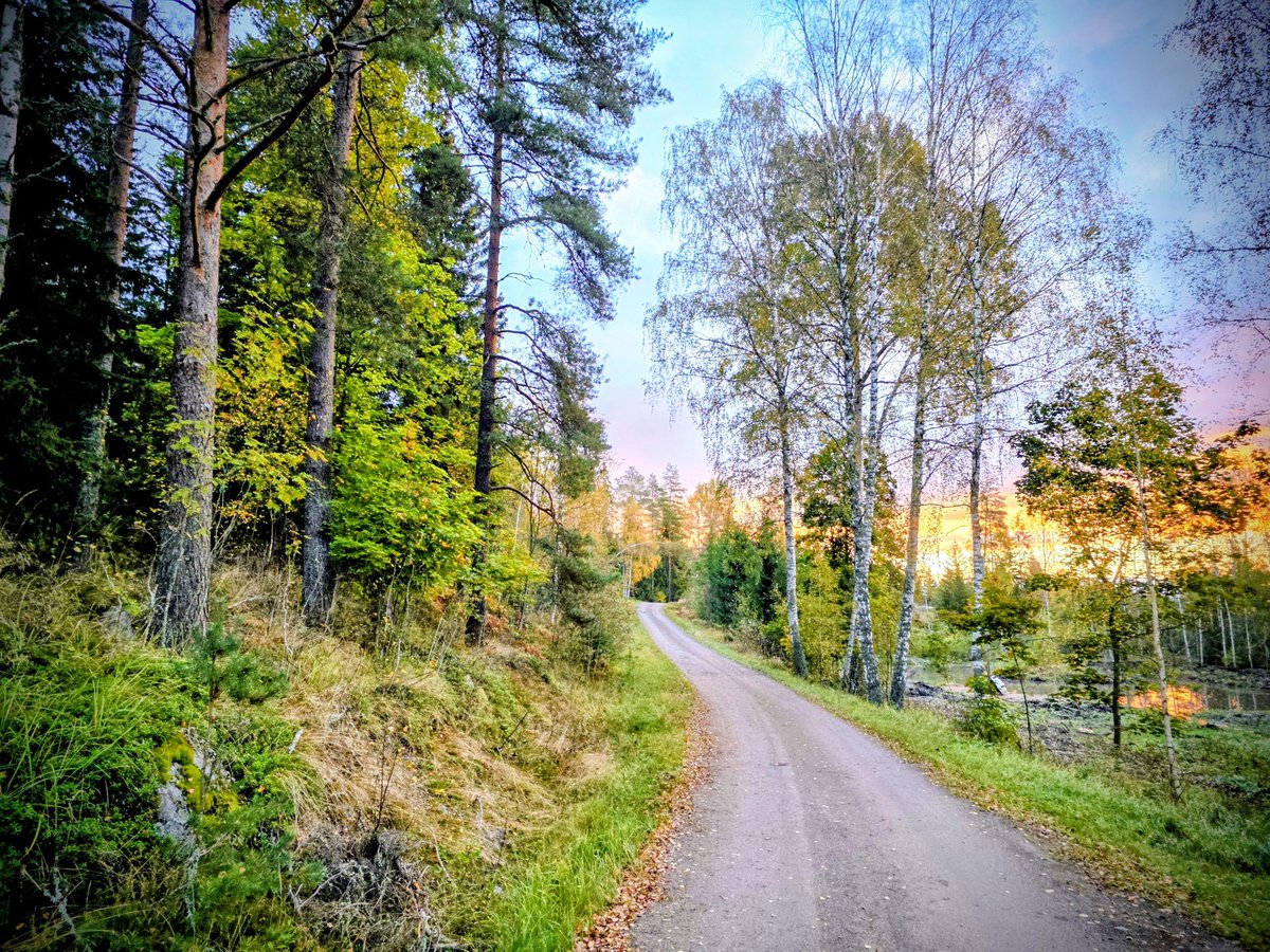 Juha Auvinen (@zehov) on Twitter photo 