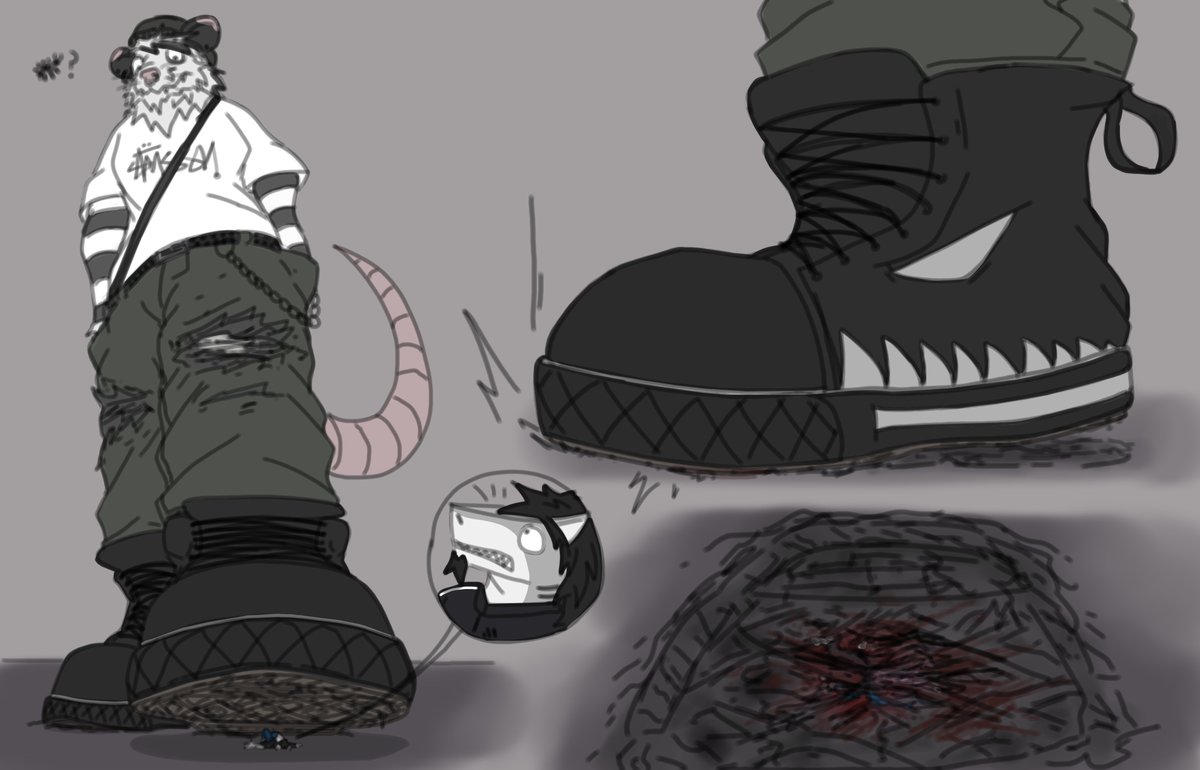 shark vs opossum, who wins