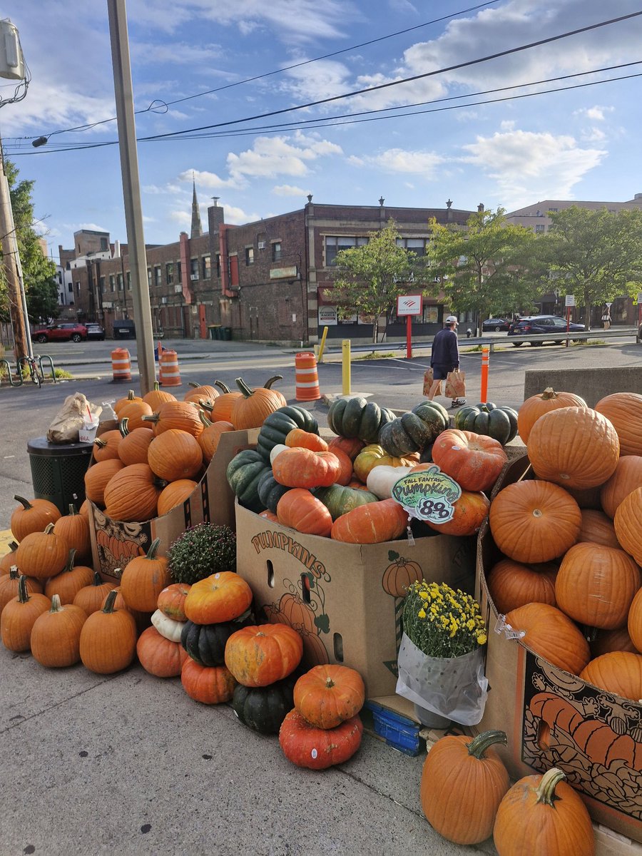 nullnotdev's tweet image. Didn&apos;t know pumpkins could be this comically accurate until I came to the US.