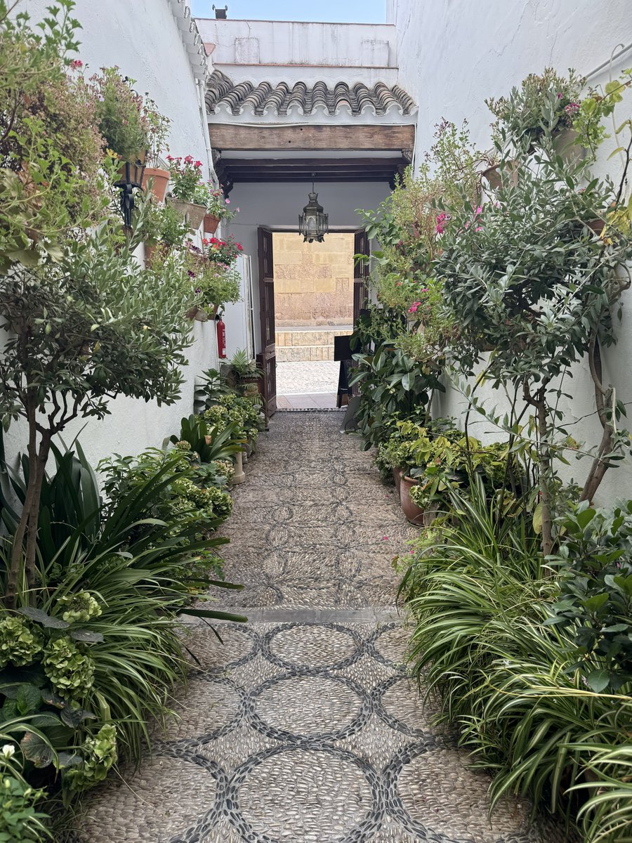 أحمـد tweet media