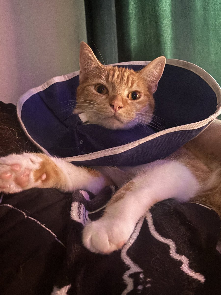 Emma Jayne tweet media