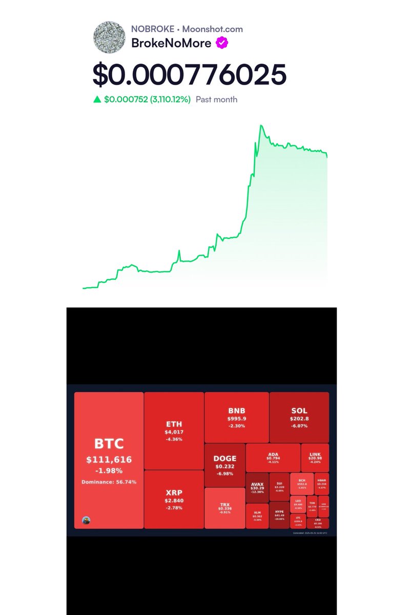 Red all across the board, all things considered we are doing good for a small project. Diamond hands and strong community, no one wants to be broke!