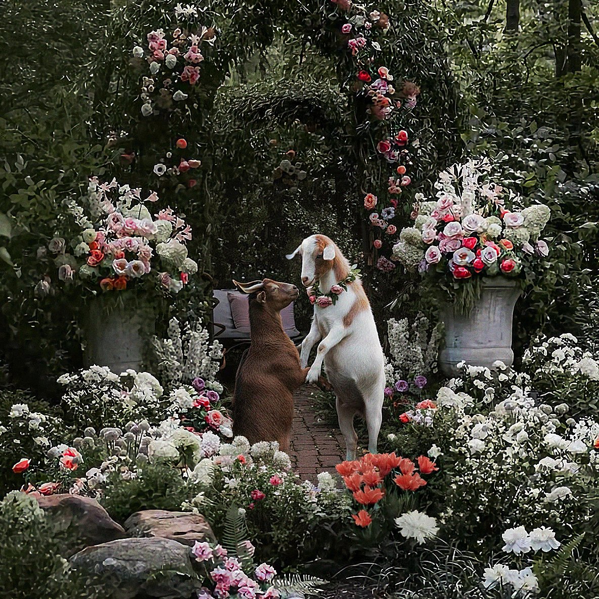 Our kind of love story 💍

See how brands crashed the engagement party: 

stndigital.com/blog/taylor-sw…