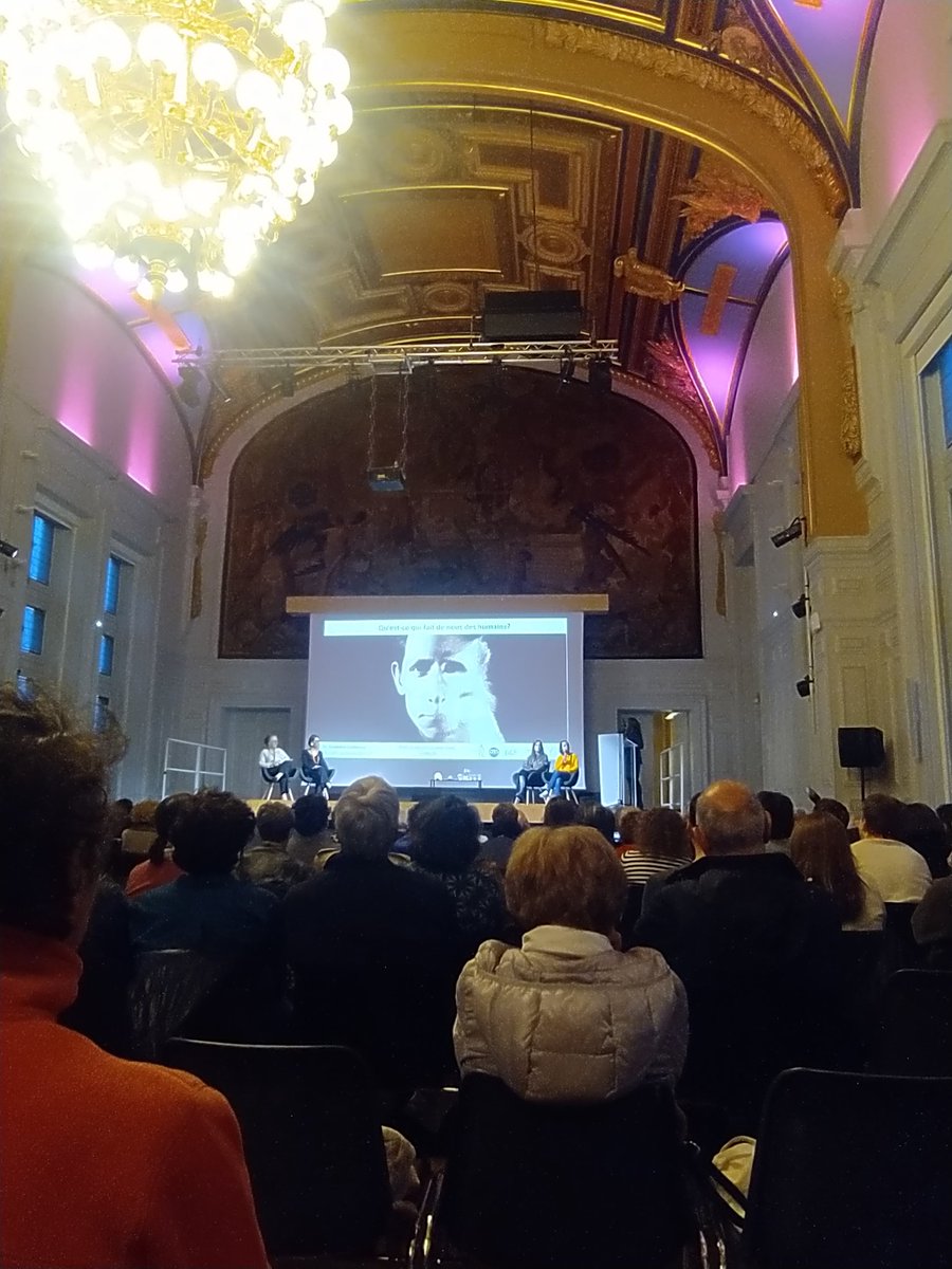 Antoine Balzeau tweet media