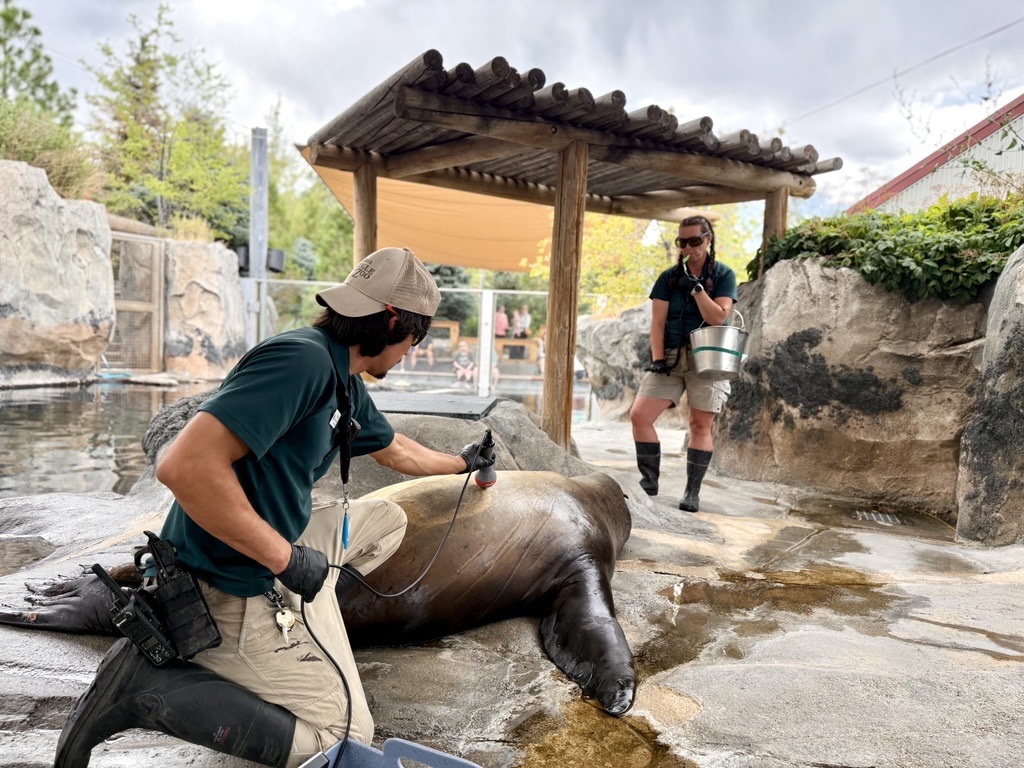 Les Schwab Contributes to Pride of Salt Lake City - Les Schwab, image size:1024x768