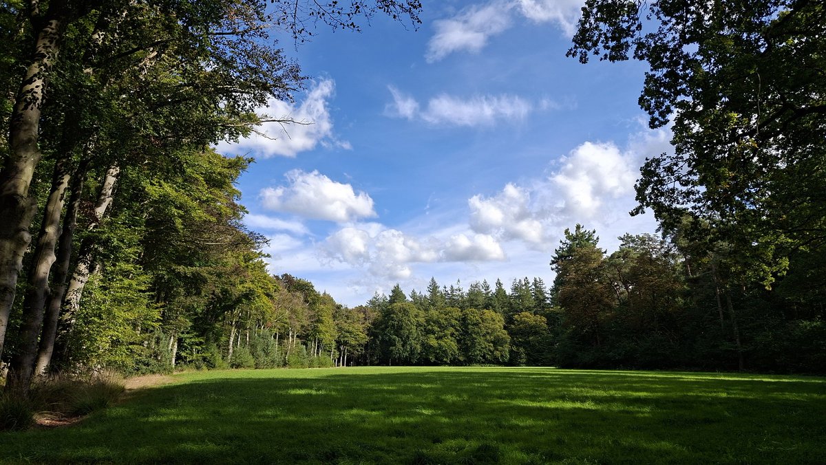 Soms kom je zelfs tijdens wandelen in je eigen omgeving, verrassend mooie plekjes tegen. 
Stil, rustig en mooi. Ik zat op een bankje en ik genoot van de rust.
Heerlijk! #twente