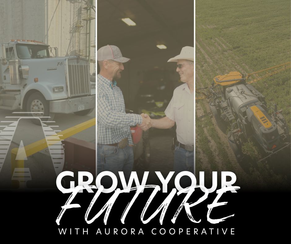 AuroraAgNetwork's tweet image. At Aurora Cooperative, our employees aren&apos;t just co-workers – they&apos;re family! Join a team where collaboration, support, and growth are at the forefront. Explore our full-time opportunities today and become part of the Aurora family! 

auroracoop.com/join-our-team/