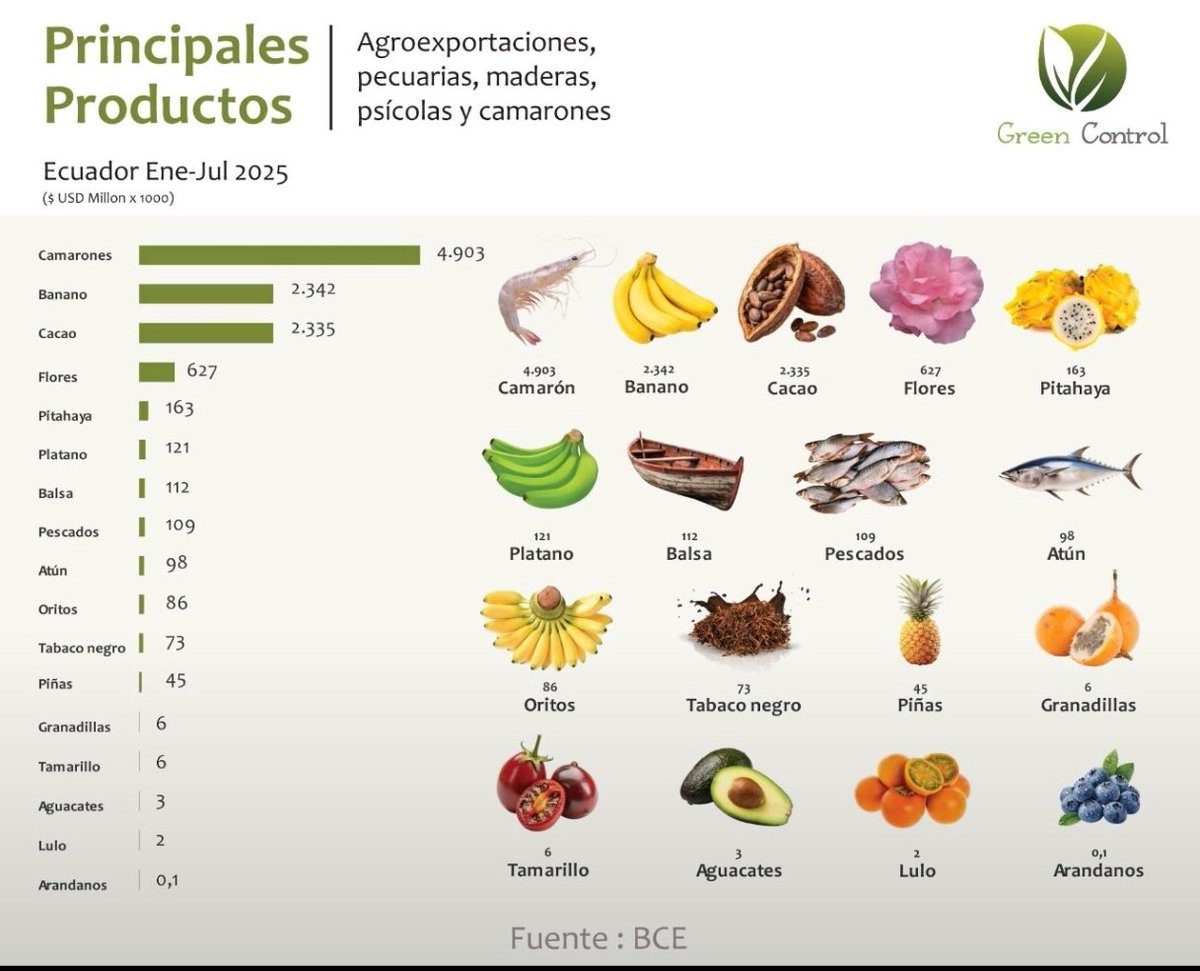 asopitec_ec's tweet image. 📌#PITAHAYA 🇪🇨 Representa el 📈quinto producto de las exportaciones no tradicionales del Ecuador al mundo, representando entre Enero y Julio 2025 con ingreso de 163 millones USD💵💵💵. 

@ecuavisa
@LaPosta_Ecu
@elcomerciocom
#ASOPITEC
#COMEX
#BCE