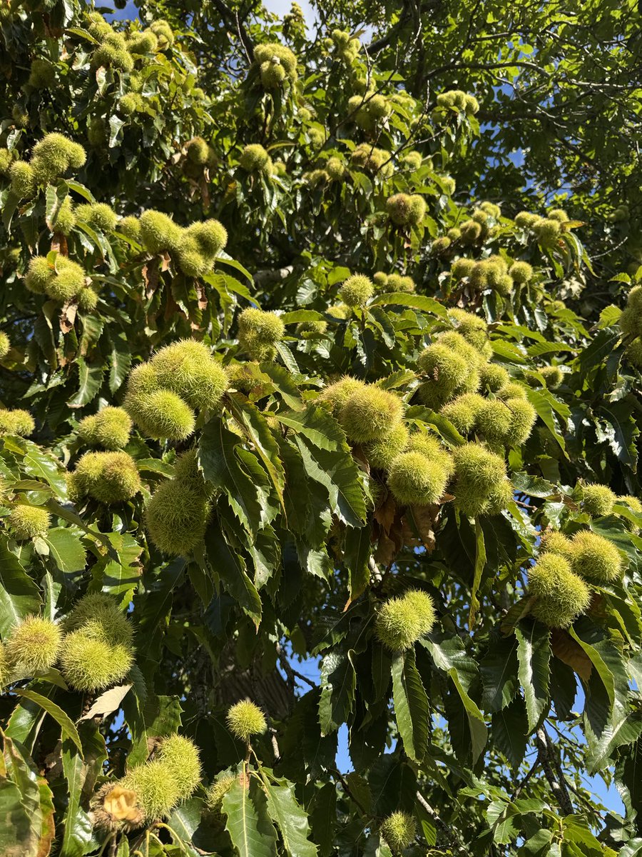 Mark Funnell tweet media