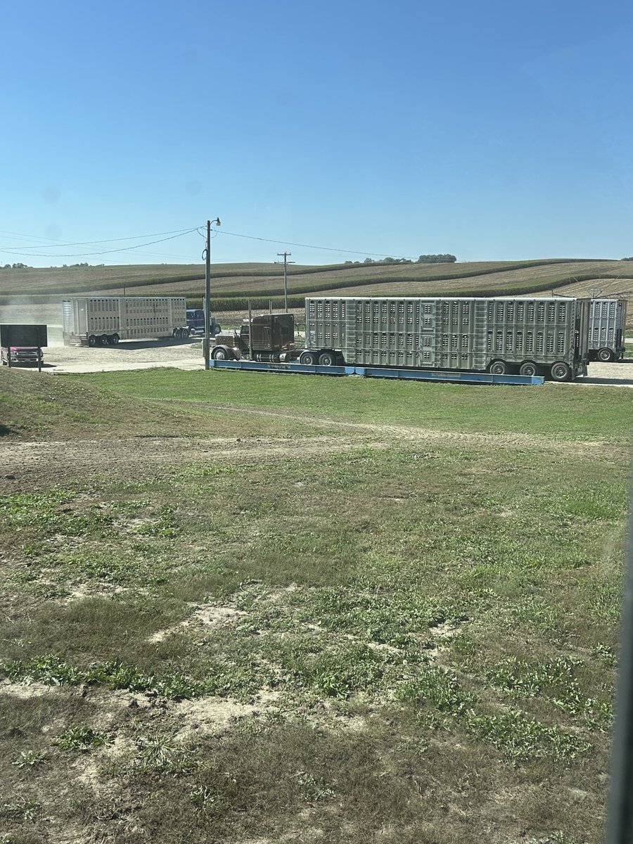 Some1 call the bears, the bull is shippin sum fats 2day 😬