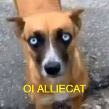 ggrahamilton's tweet photo. gente o dean repetindo 2 anos p dar tempo de chegar na temporada dele, e a gente achando q tinha se livrado do jeremiah https://t.co/xL87K048BC
