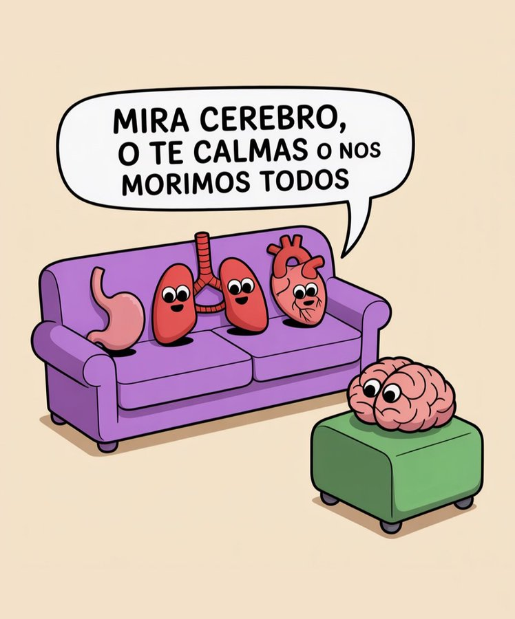 LealtadSabia's tweet photo. Las emociones no expresadas encuentran refugio en nuestro cuerpo.

🧵_🧵 https://t.co/uWxQAxaFi9