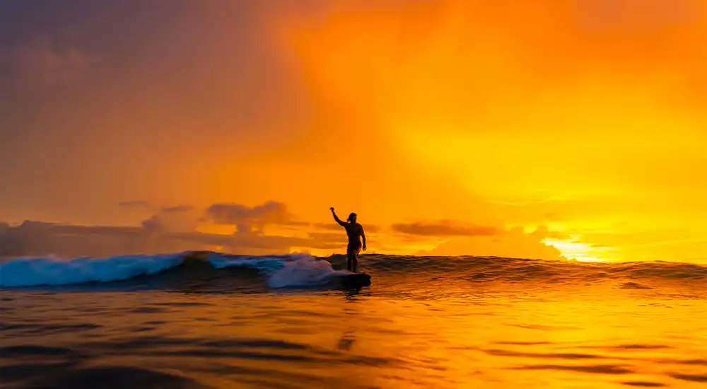 Witch's Rock Surf Camp - Costa Rica tweet media