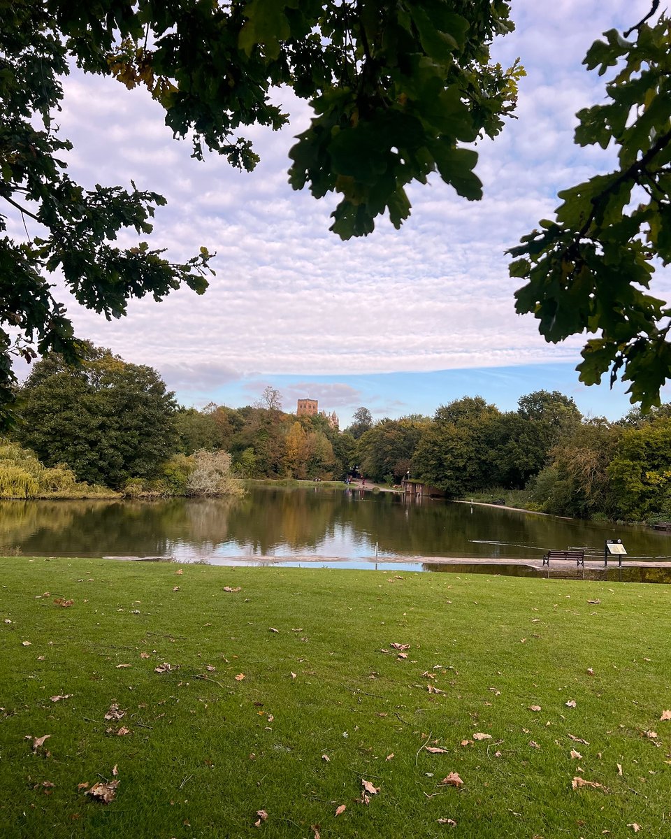 Doria19928's tweet photo. I thought why not share some of the little happy moments that happened this fall. 🍂🌧️ https://t.co/wULSvmQZjM