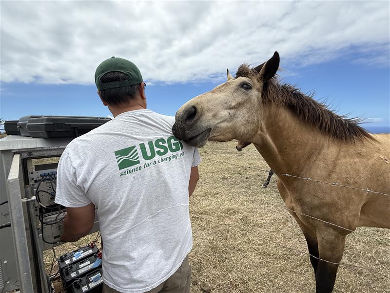 USGSVolcanoes's tweet image. HVO monitors volcanic activity across the Hawaiian Islands and American Samoa, helping to ensure public safety and support scientific research. Behind the scenes, the work of field technicians is critical to this mission. #VolcanoWatch this week describes the unique set of