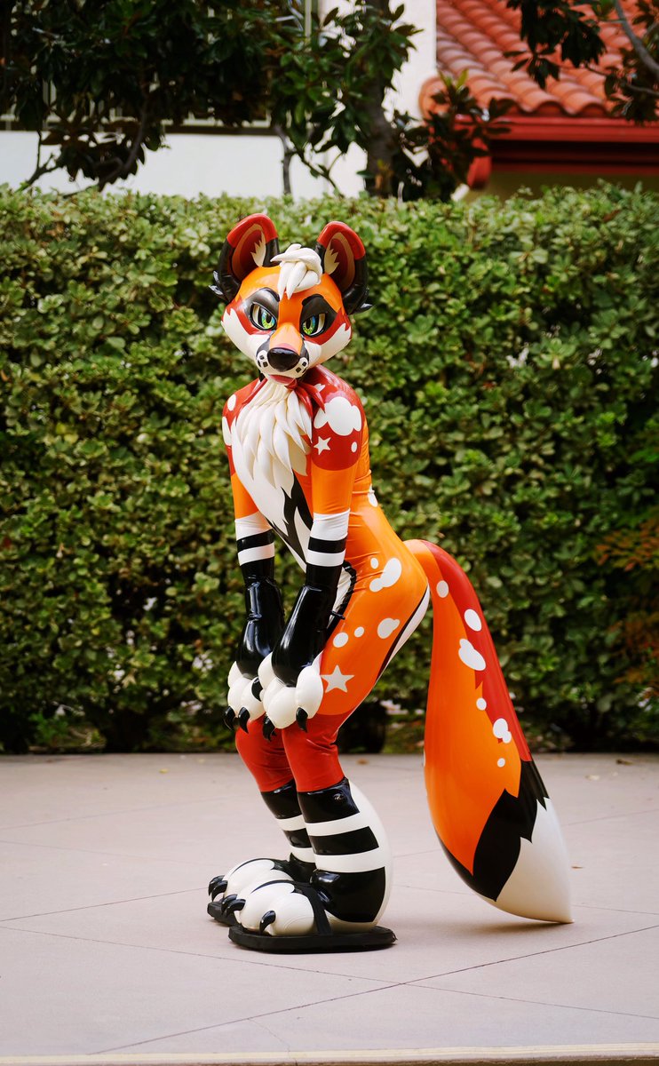 Fox Pupy 🦊🧡 tweet media