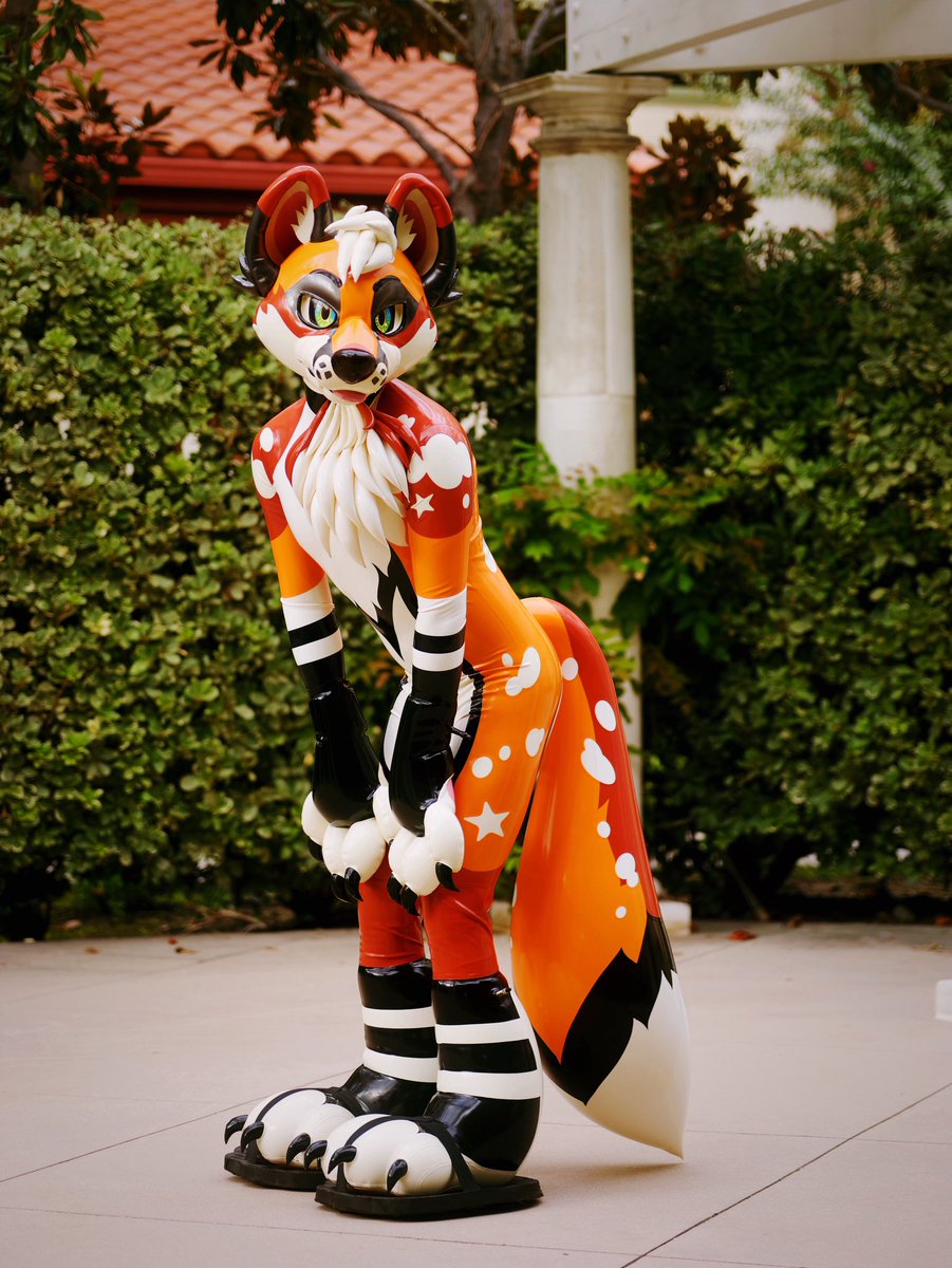 Fox Pupy 🦊🧡 tweet media