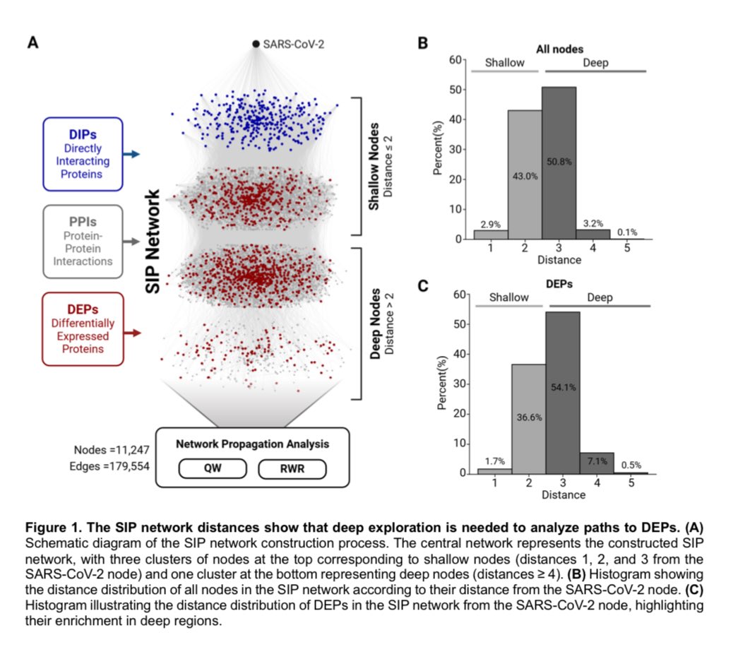 vipintukur's tweet photo. Compared to the conventional random walk with restart (RWR) method, QW demonstrated superior capacity to traverse deeper regions of the network, uncovering proteins and pathways implicated in LongCOVID.
➡️ The analysis flagged #VDAC1 (a mitochondrial calcium channel) and the CDGSH iron-sulfur protein family as potential biomarkers or therapeutic targets.
➡️ The researchers note that some existing compounds (e.g. #cannabidiol) that interact with related pathways might have relevance. 2/