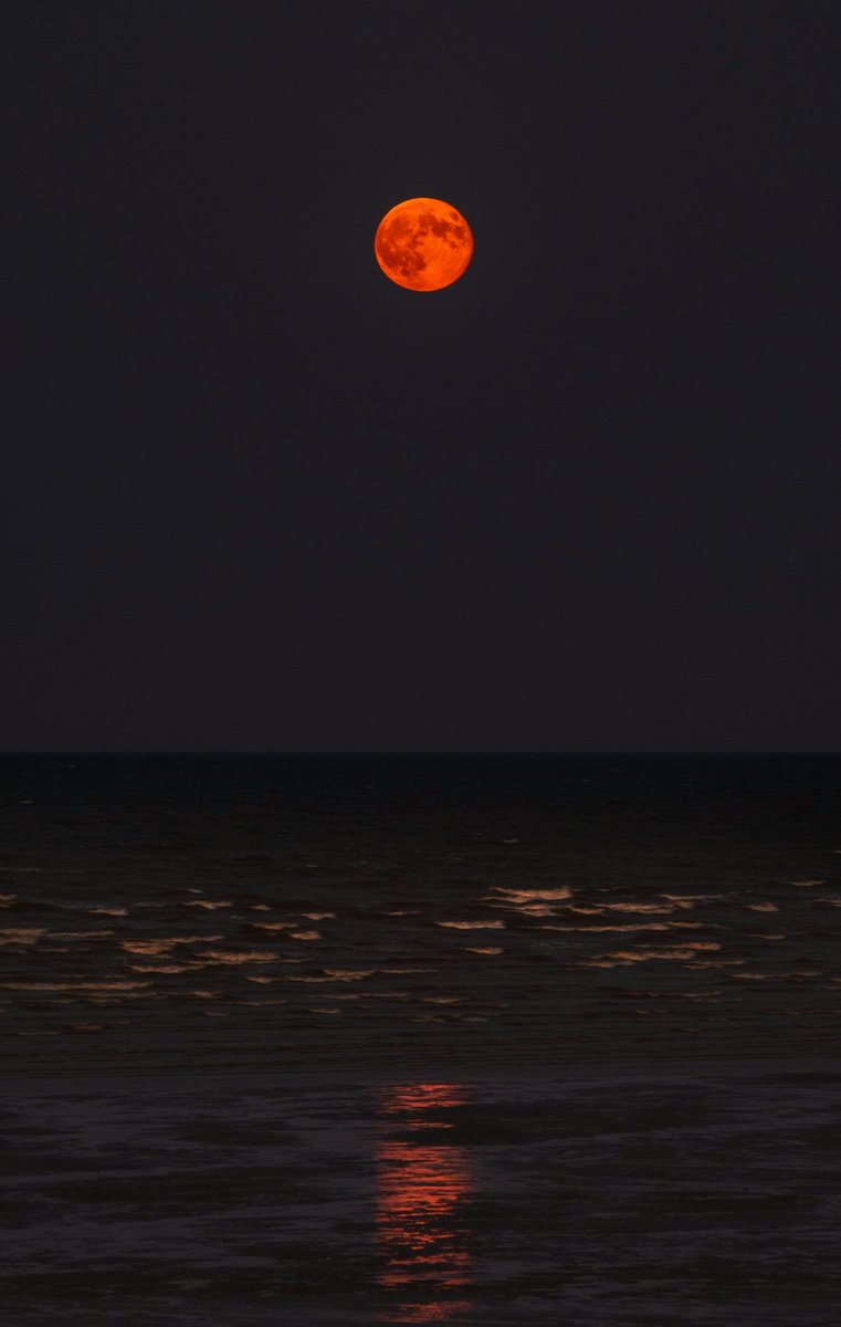 earthcurated's tweet image. Moon glow ✨