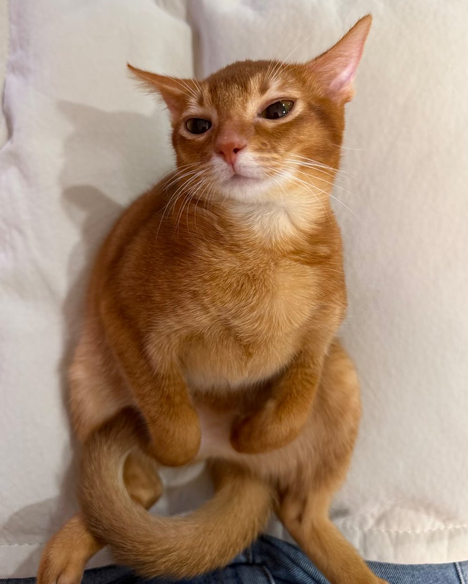 马上要放小长假了
想要内设我的
可以私信来问我的创伤了
丑的短的敢来你就死定了（bushi