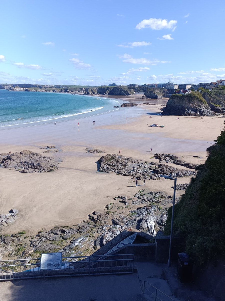 Aladdin Sane tweet media