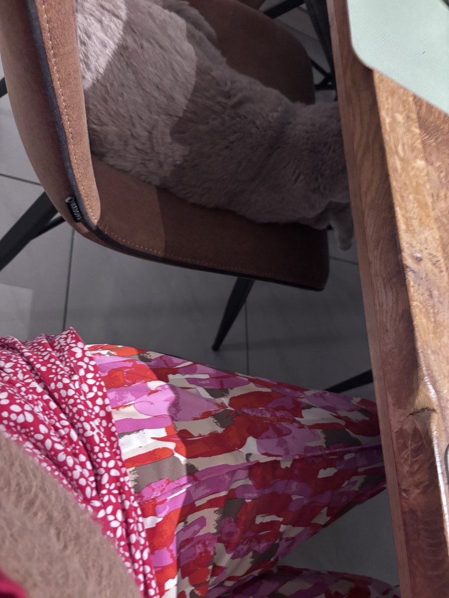 Ik kan het nog steeds niet geloven dat er een KAT in mijn huis zit!!!🥰