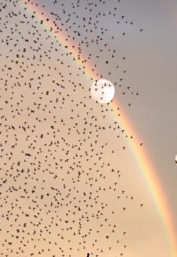 Allah'ım 
Bu mübarek Cuma gecesi hürmetine 
Bize inşaAllah olur
Diye dua edip hayalini kurduğumuz
Her şeyin 
Çok şükür oldu sevincini yaşat..
Aminnnn
#HayırlıCumalar
#GeceyeDuam 
#GeceyeNotum