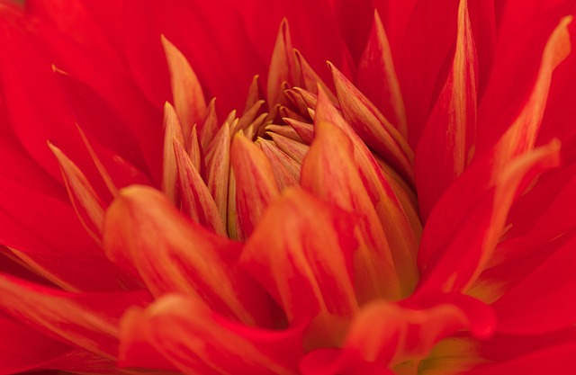 Chudai_jav_zXek's tweet image. When meeting a new person, ask the sentences hỏi về sở thích, công việc và cuộc sống của họ để خلق التعاطف وابدأ محادثة مثيرة للاهتمام.

#SuccessFormula