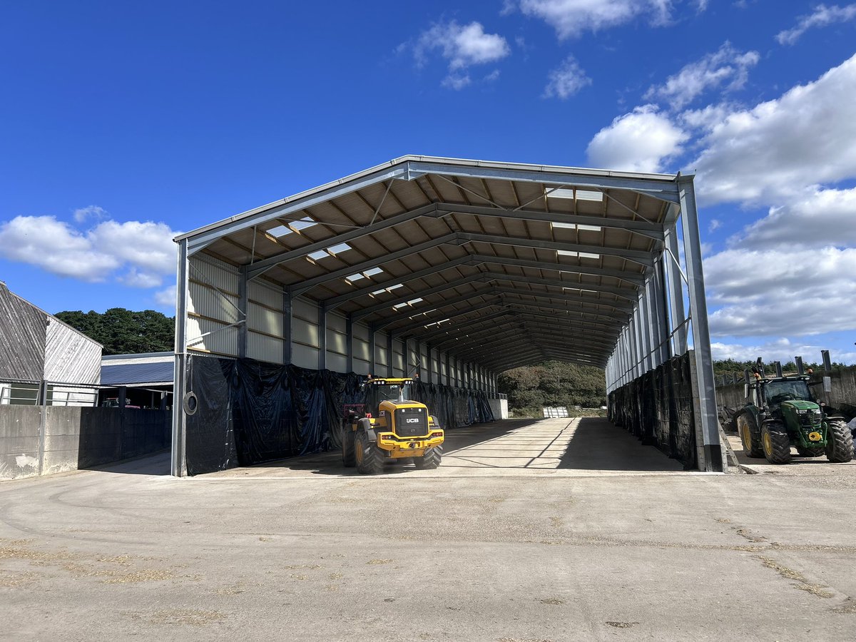 The first of several maize trials cut today, new pit makes the JCB look like a toy 🌽 🚜