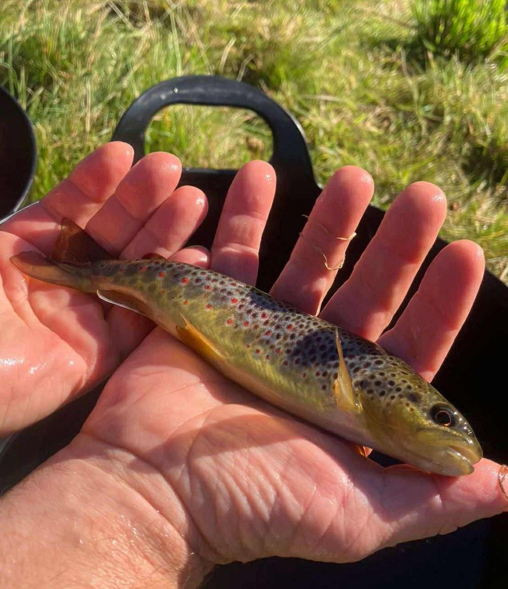 James Rebanks tweet media