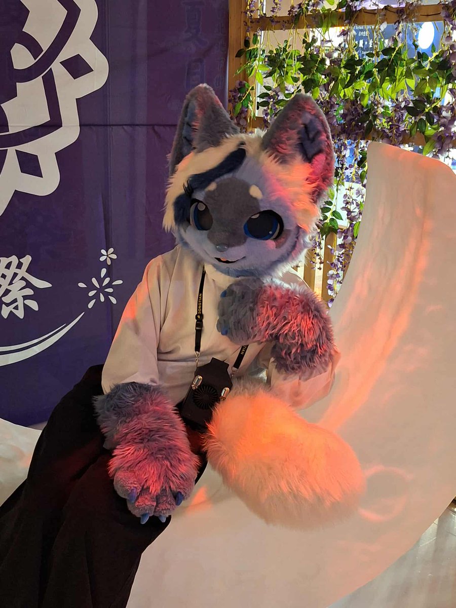 三次元乗貳貓 tweet media