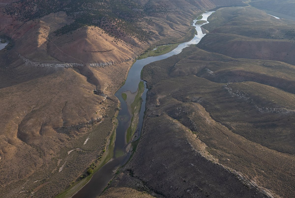 lighthawk_org's tweet image. #TBT: In 2021, LightHawk and American Rivers flew the Yampa—for a film telling the story of one of the last free-flowing rivers in the Colorado Basin.

Today, it’s still at the heart of the fight for resilient rivers in the West.

📸 David Cole

#FlyingForGood #ColoradoRiverBasin
