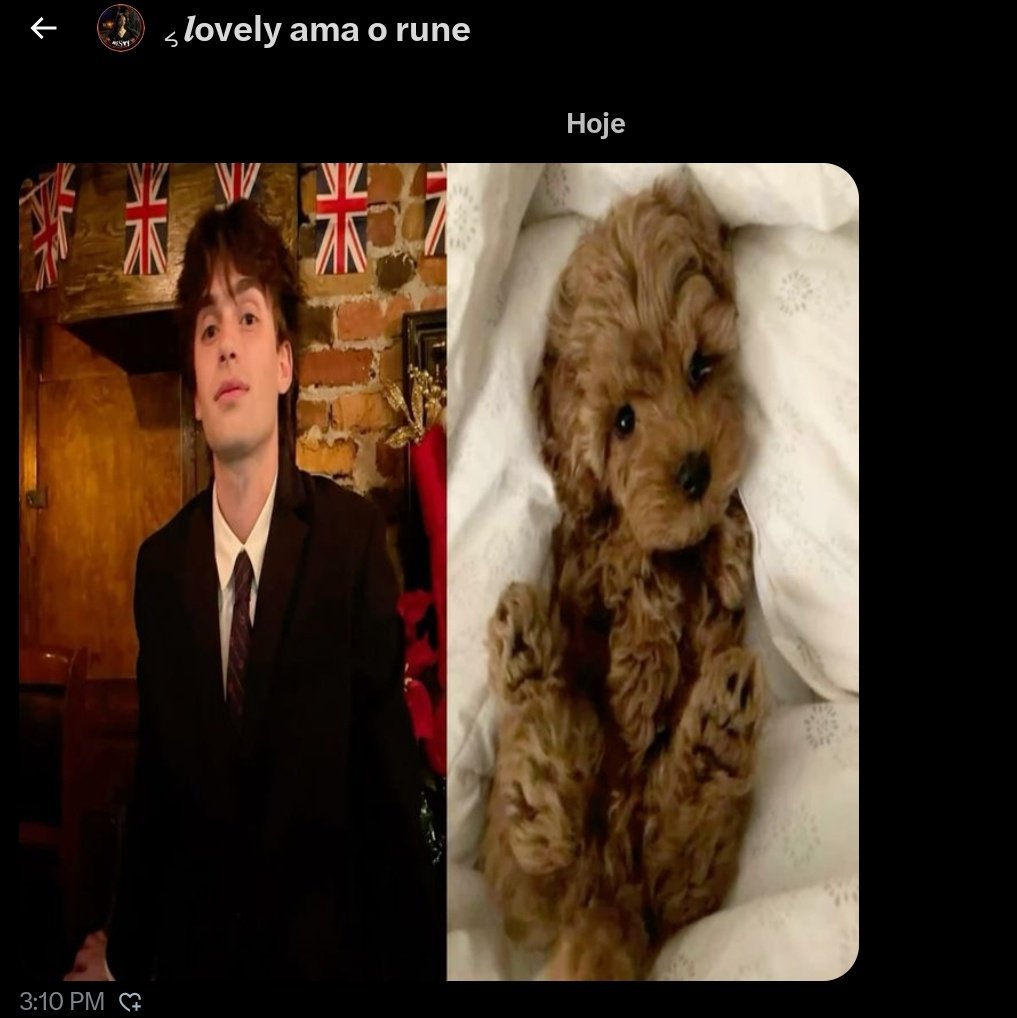 * 𝒓omαno 𝒍άzαro tweet media
