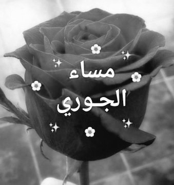 رمادية الهوى (@soha011012) on Twitter photo 