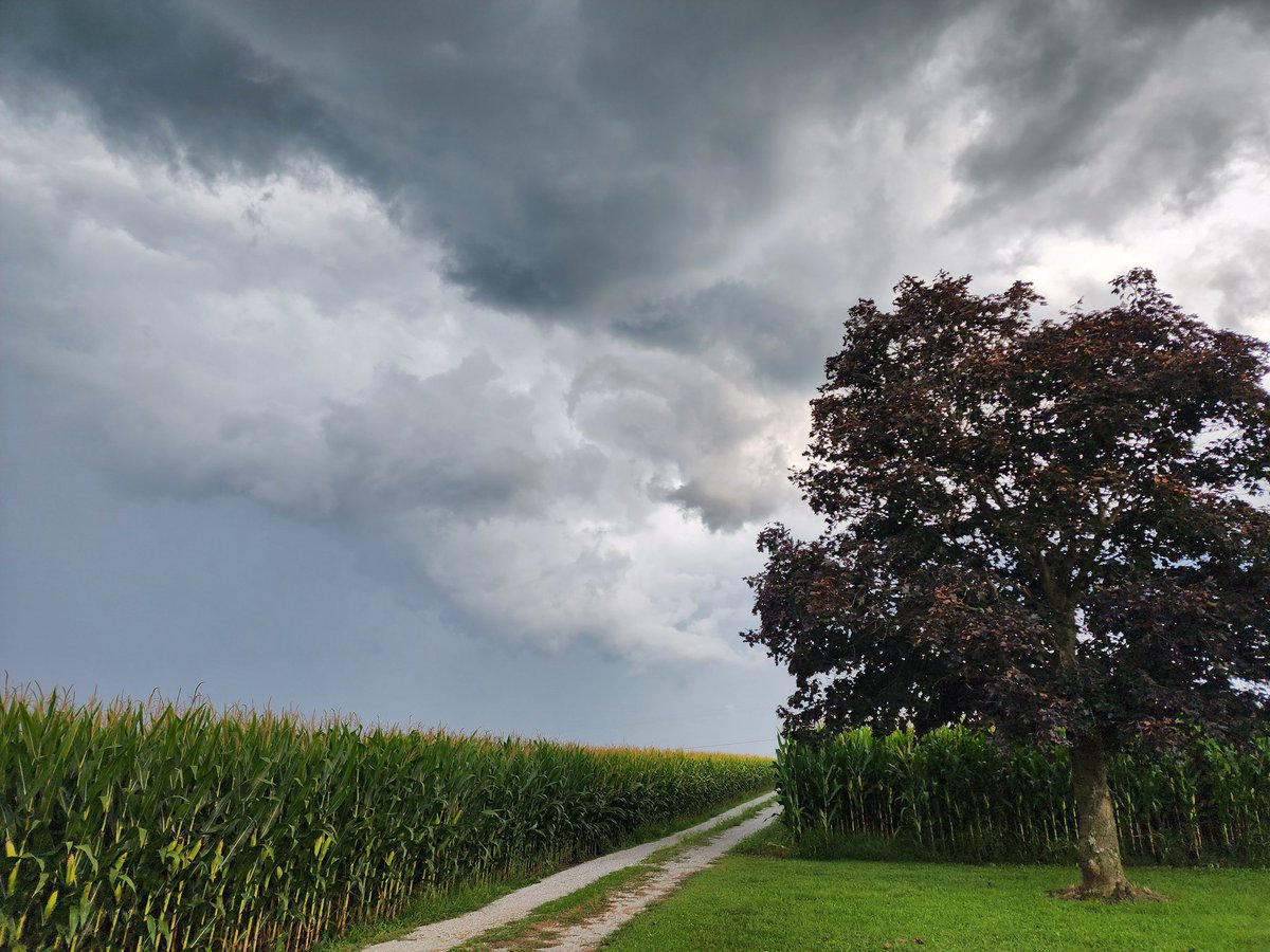 Storm clouds ⛅️ a while back