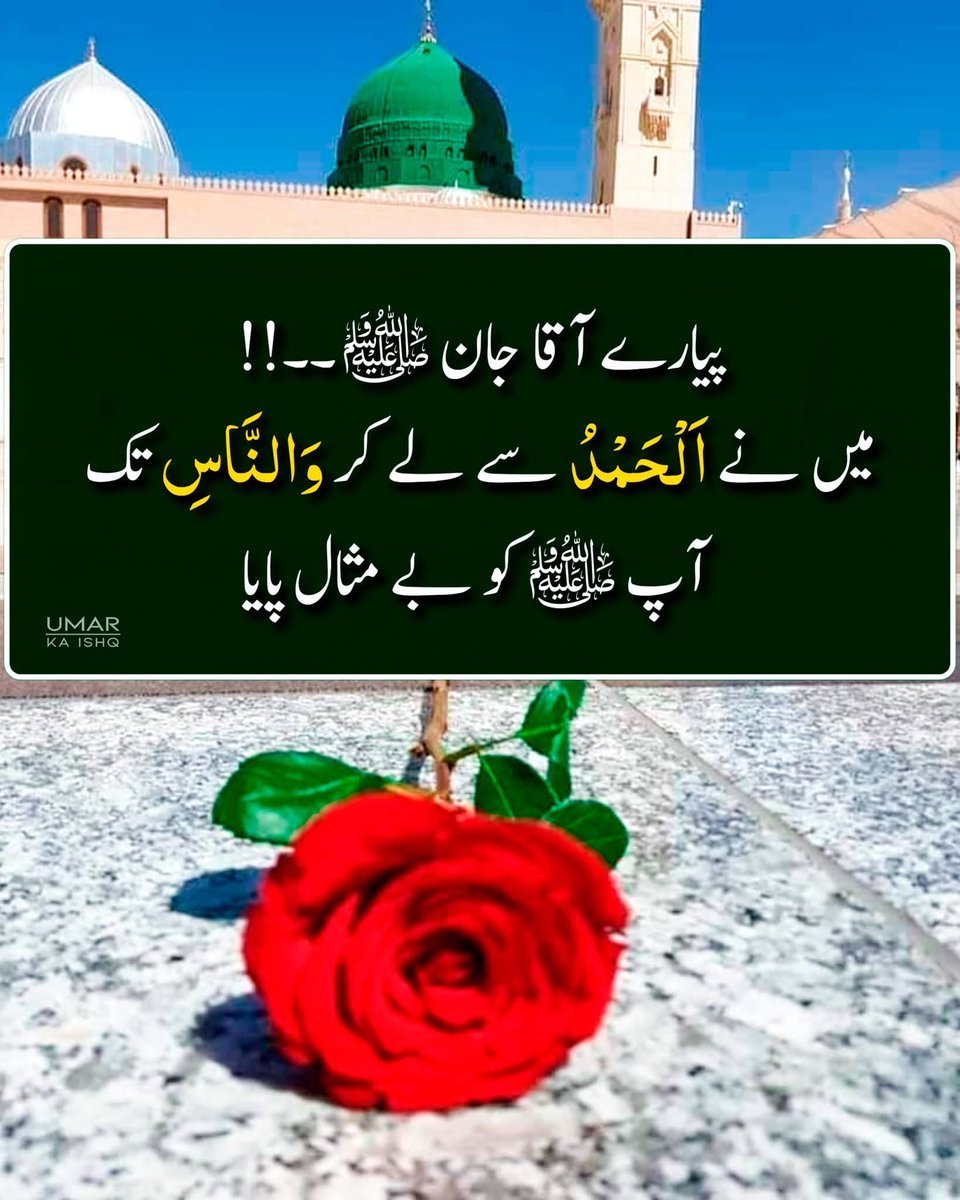 Shabana Awan tweet media