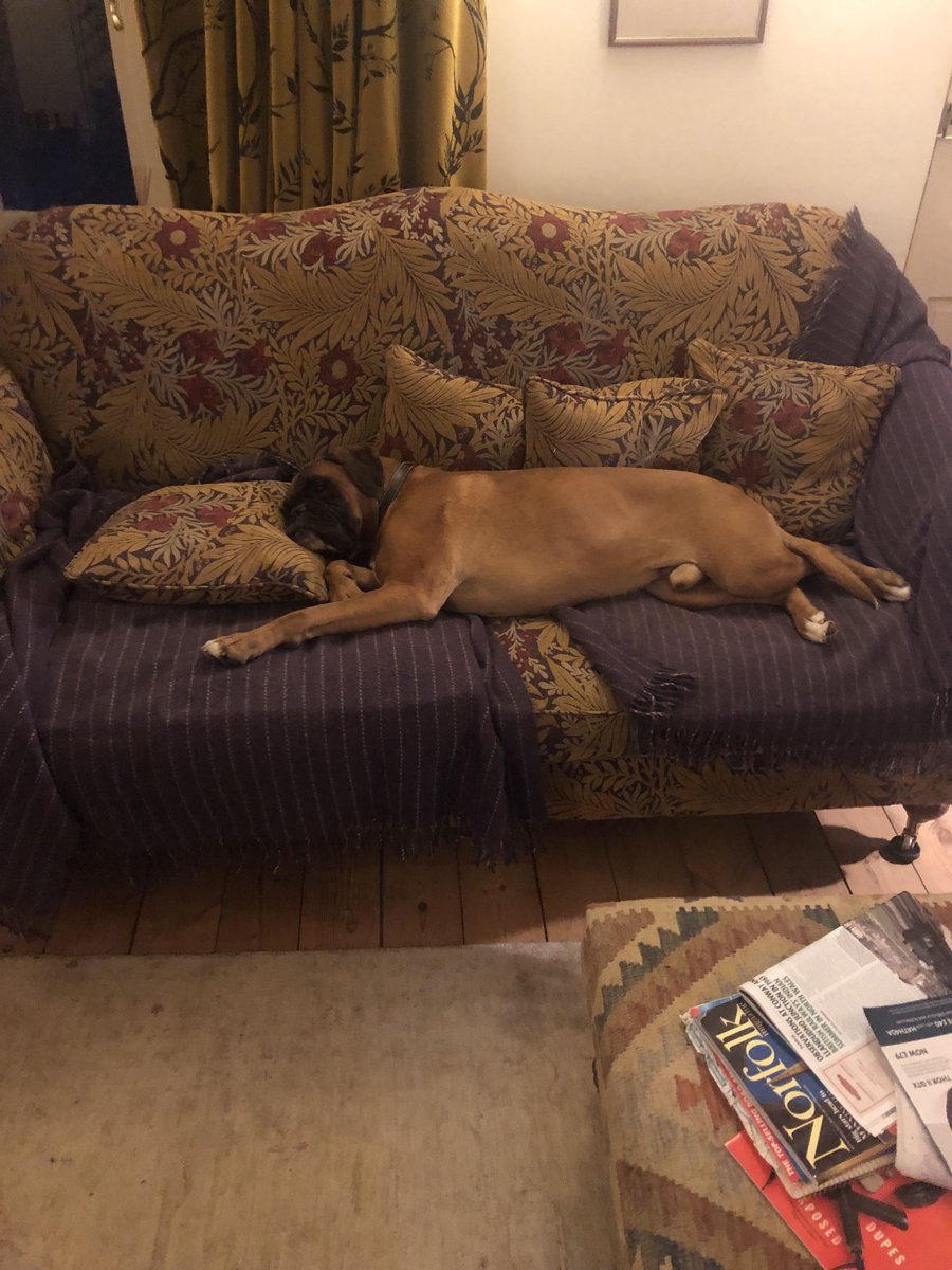 Which part of quantum physics says one dog can deny a whole sofa to any humans? Presumably the Exclusion Principle.