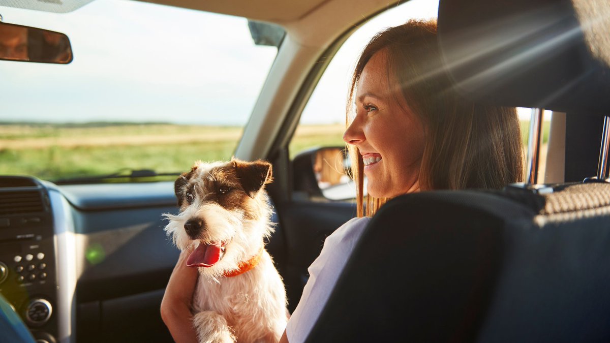 CreateCreditU's tweet image. BUYING A CAR: This used car buying checklist will help you avoid red flags, inspect with confidence, and complete the paperwork properly - brnw.ch/21wW68j.

#BuyingACar #UsedCars #CarBuyingExperience #CCCUBlog