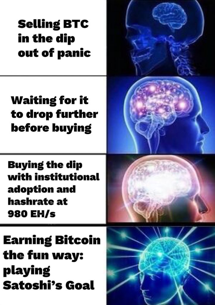 Choose your brain size 🧠👇

#HODL #Bitcoin #PlayToEarn #Gaming
