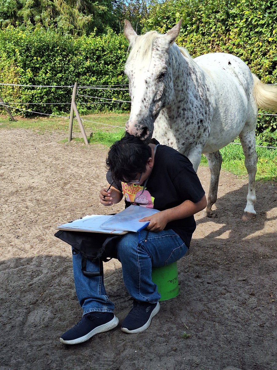 HorseplayToys tweet media